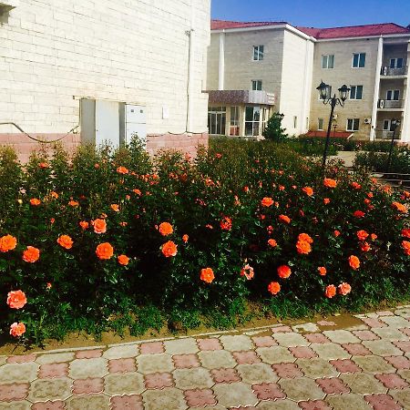 Hotel Ark Ms Taraz Exterior photo