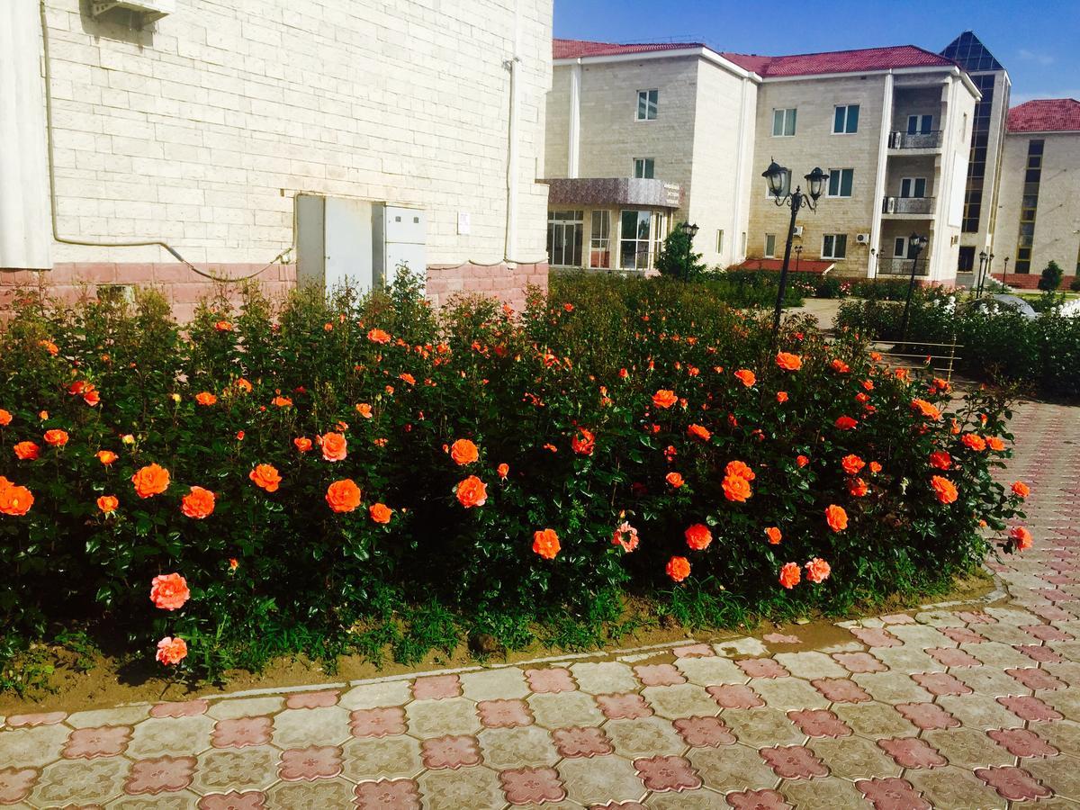 Hotel Ark Ms Taraz Exterior photo